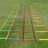 Adjustable football soccer sports speed training folding agility quick ladder with carry bag