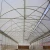 Import Agricultural Multi-Span Greenhouse Commercial Greenhouse from China