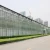 Import Agrotime Plastic film Greenhouse And Selling Used Polycarbonate Greenhouse from China
