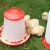 Import Animal husbandry equipment plastic chicken feeder and drinker from China