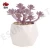 Import Artificial Succulents Plants Sets,white Geometric Ceramic Pot ES1258-13 from China