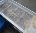 Auto small combined rice mill