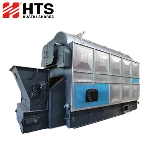 Automatic feeding Grate DZL Coal Firewood Biomass Steam Boiler for Food Industries