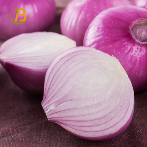 bangalore rose onion fresh red onion from india fresh vegetable importers in singapore
