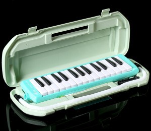 Bee Brand 27 key toy musical keyboard instrument green children melodica with abs case