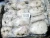 Import Best Grade Frozen cleaned Cuttlefish from South Africa