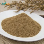 Best pure herbal extract 24/6 ginkgo biloba leaf extract ginkgo biloba