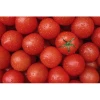 best quality fresh tomato, new crop