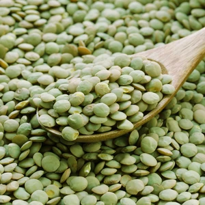 Best Quality Green lentils