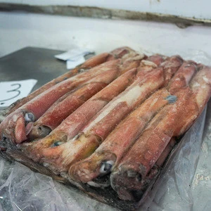 Best Quality West Indonesia Frozen Squid for Consume