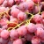 Import Best Sell Fresh Sweet Honey Red Grape from China