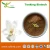 Import Best selling Plant extract Magnolia Bark Extract from China