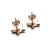 Import BIO ENERGY Fashion Stainless Steel Rose Gold Star Shape Earrings from China