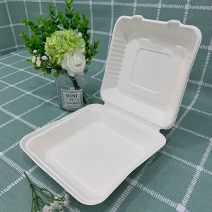 Biodegradable and Compostable Sugar-Cane fibre Bento Box 8" Take Out food Box