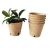 Import Biodegradable seed paper packaging nursery cup vegetable seed nursery pot from China