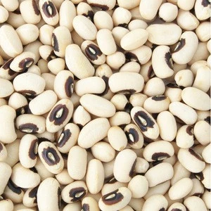 Quality Black Eyed Beans, White Cowpea, Vigna Beans