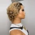 Import Black to Honey Blonde 2T Ombre Short Curly Brazilian Cuticle Aligned Raw Hair Pixie Cut Lace Front Wigs for Black Women from China
