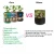 Import Braysle  360 Degree 7/10 Gallon Breathable Non-woven Fabric Potato Vegetable Planting Bag plant grow bag from China
