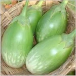 Brinjal Supplier Brinjal wholesaler/ brinjal vegetables