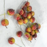 BSCI wholesale artificial plastic crafts decorative fake fruits