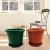 Import Bulk grden best choice tall plastic large size gallon flower pots garden pots for nursery plants from China