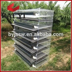 Cages for quail prices/wire mesh quail cage/quail layer cage