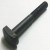 Import Carbon steel T-head bolt from China