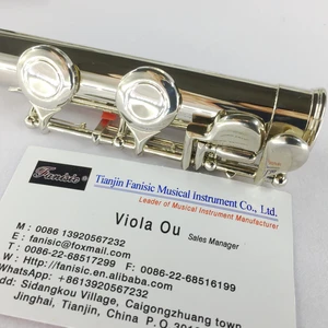 cheap flute for students