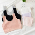 cheap little girls preteen underwear