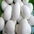 Import Chicken White Egg Exporter in best price from United Kingdom