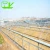 Import China hot sale multi span plastic tunnel film greenhouse from China