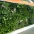 Import china manufacturers vertical garden wall hanging artificial plants artificial grass green carpet moss turf decoration from China
