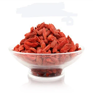China organic pure fresh medlar wolfberry dried fruit for health