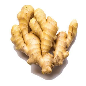 chinese air dry dried fresh ginger