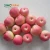 Import Chinese Bulk Red Fresh Apple Supplier Fresh Apple Exporters from China