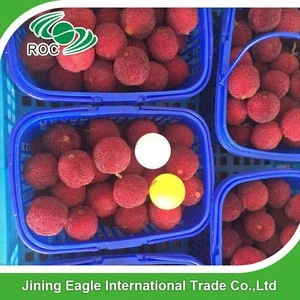 Chinese Fresh Waxberry Bayberry Fruit For East Euro Market