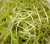 Import Chinese Green Mung Beans / Green Gram /Moong Dal Unhulled from China