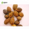 Chinese herbal medicine, hazelnut fruit, relieve cough symptoms, raise lungs