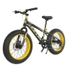 Chinese high quality fat tyre bicycle for men 21 speed fat tire bicycle for women