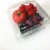 Import Clear disposable cheap packaging PET plastic food fruit tray from China