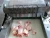Import Commerical frozen chicken cube cutter / Big meat dice cutting machine / Meat cube dicer from China