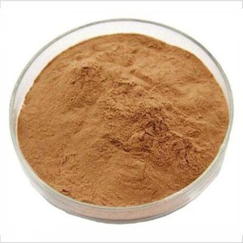 Competitive Price Good Quality Concentrated powder Salicin