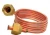 Import copper pipes in coils & straight copper pipes from mill Non-alloy Pancake Coil from China