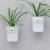 Import Creative Plastic Wall Hanging Flower Pot With Suction Cup from China