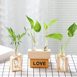 Crystal Glass Test Tube Vase in Wooden Stand Flower Pots for Home Decor