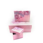 Custom essential oil bottle packaging kraft paper cosmetic boxes