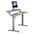 Import Custom Logo Home Office Furniture Double Layer Computer Desks Adjustable Height Desk Electric from China