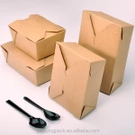 Custom Printed Disposable Paper Take Away Craft Box For Hot Food Packaging