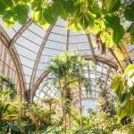 Customized steel structure glass greenhouse plantation can  vegetables and plants