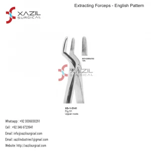 Dental Extracting Forceps English Pattern Fig 51 Upper Roots With Serrated Tip Stainless Steel All Sizes Available